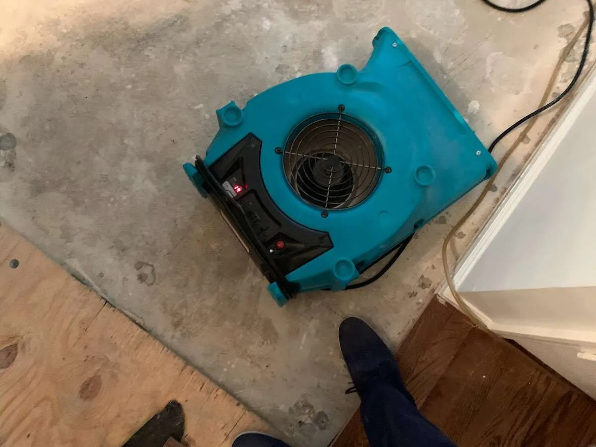 Air mover drying subfloor during Leak Detection & Repair in Port Sheldon